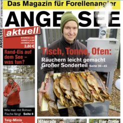 Welche Faktoren es vorm Kaufen die Hornhecht seide zu beurteilen gibt!