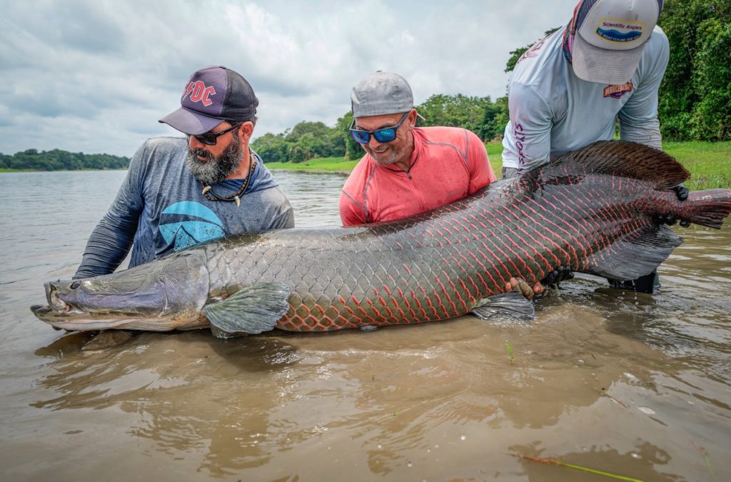 In „Pirarucu“ erlebt Helmut Zaderer ein Abenteuer am Amazonas. Foto: Helmut Zaderer