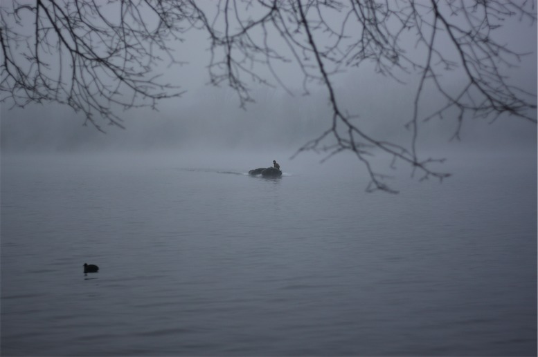 Tiefe Gewässer halten ihre Wärme länger als flache; also hat man bei sehr ungemütlichen Bedingungen dort bessere Chancen. Wenn im Februar aber die ersten warmen Sonnentage das Wasser erwärmen, sind flache Seen (oder flache Bereiche in tieferen) deutlich interessanter.