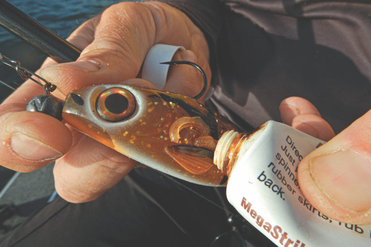 Immer mehr Raubfischangler behandeln ihre Gummifische mit Lockstoffen. Foto: F. Schlichting