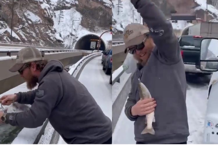 Der Angler Dylan Hayes wurde zur Attraktion eines Mega-Staus, als er währenddessen eine Regenbogenforelle aus dem Colorado River zog.