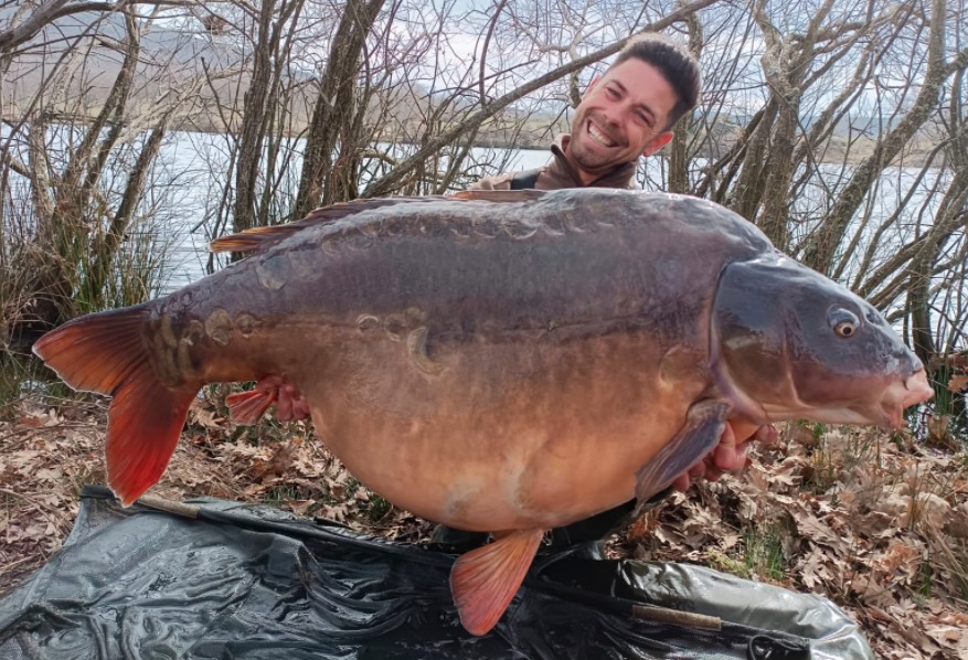 Der neue Rekord-Karpfen aus Spanien ist ein mächtiger Fisch: Er wiegt ganze 37,3 Kilo und stammt aus der Region Extremadura. Foto: P. López (via Facebook)