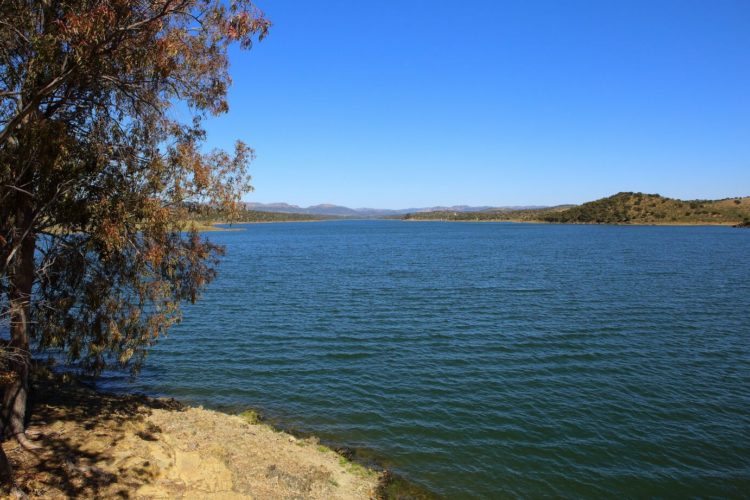 Der Stausee Orellana gehört zu den größten Karpfengewässern Spaniens. Foto: O. Portrat