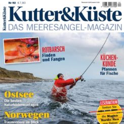 Was es bei dem Bestellen die Riesen fliege zu untersuchen gilt