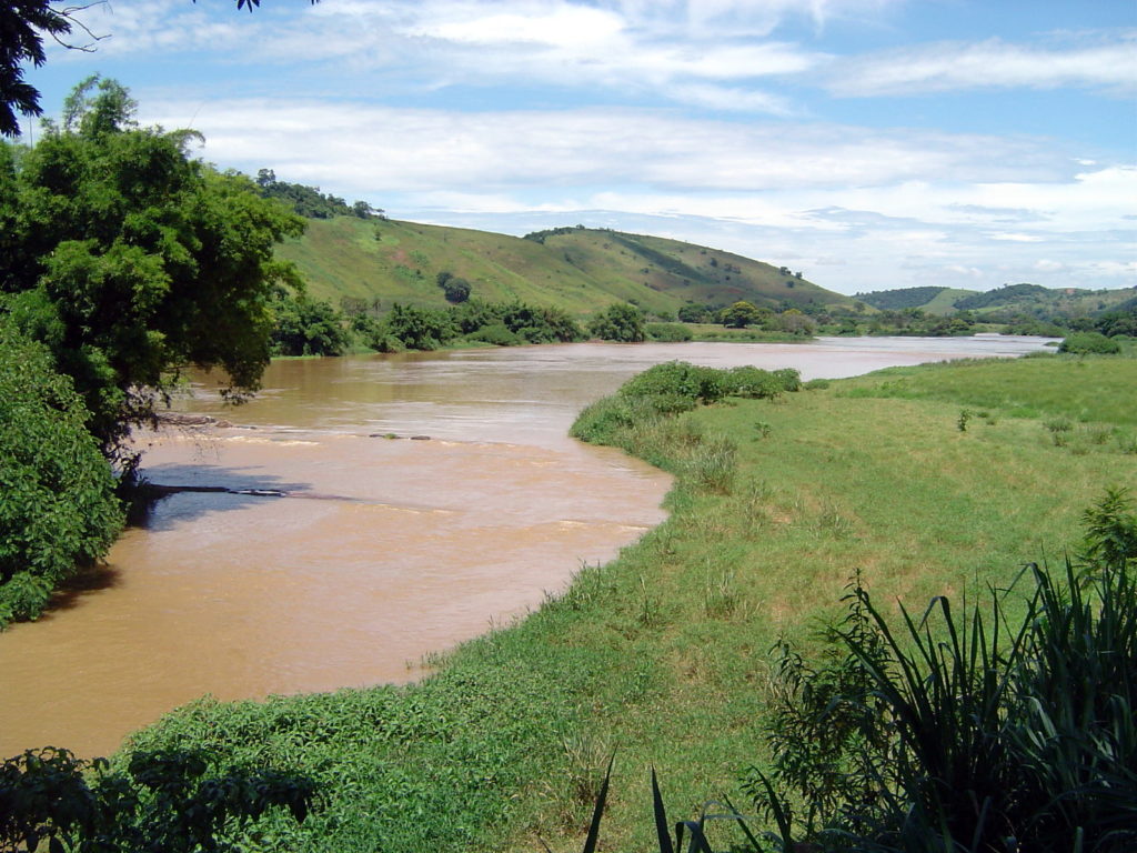 Der Atlantische Regenwald an der Westküste Brasiliens gilt als eines der am stärksten betroffenen Ökosysteme Brasiliens.  Foto: Flickr/Rubén Porto