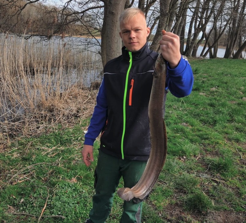 94 Zentimeter maß der Aal, den Janek Christochowitz aus einem Privatsee auf der Mecklenburgischen Seenplatte fangen konnte. Foto: BLINKER-Hitparade
