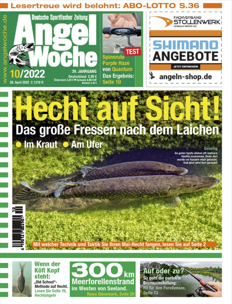 Die neue AngelWoche 10/2022 – ab sofort im Handel erhältlich!