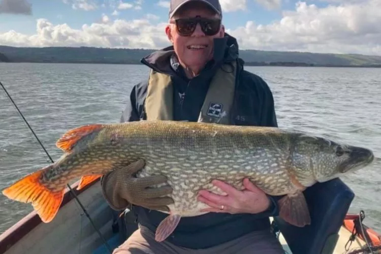 Dieser Riesenhecht stammt aus dem Chew Valley Lake in England. Fänger Barry Hawyes war eigentlich auf Forellen aus. Foto: B. Hawyes (Screenshot via Facebook)