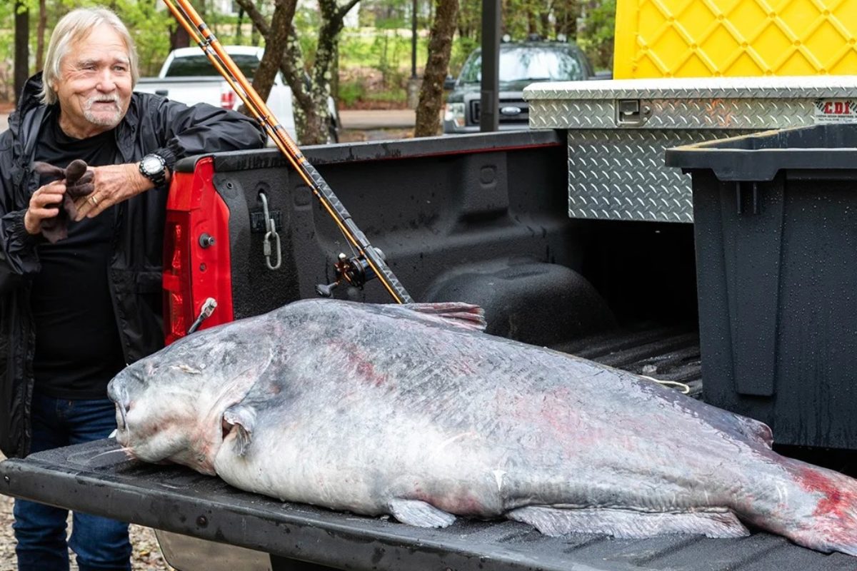 Eugene Cronley mit seinem Rekord-Katzenwels auf der Laderampe seines Pickups. Foto: Mississippi Department of Wildlife, Fisheries and Parks