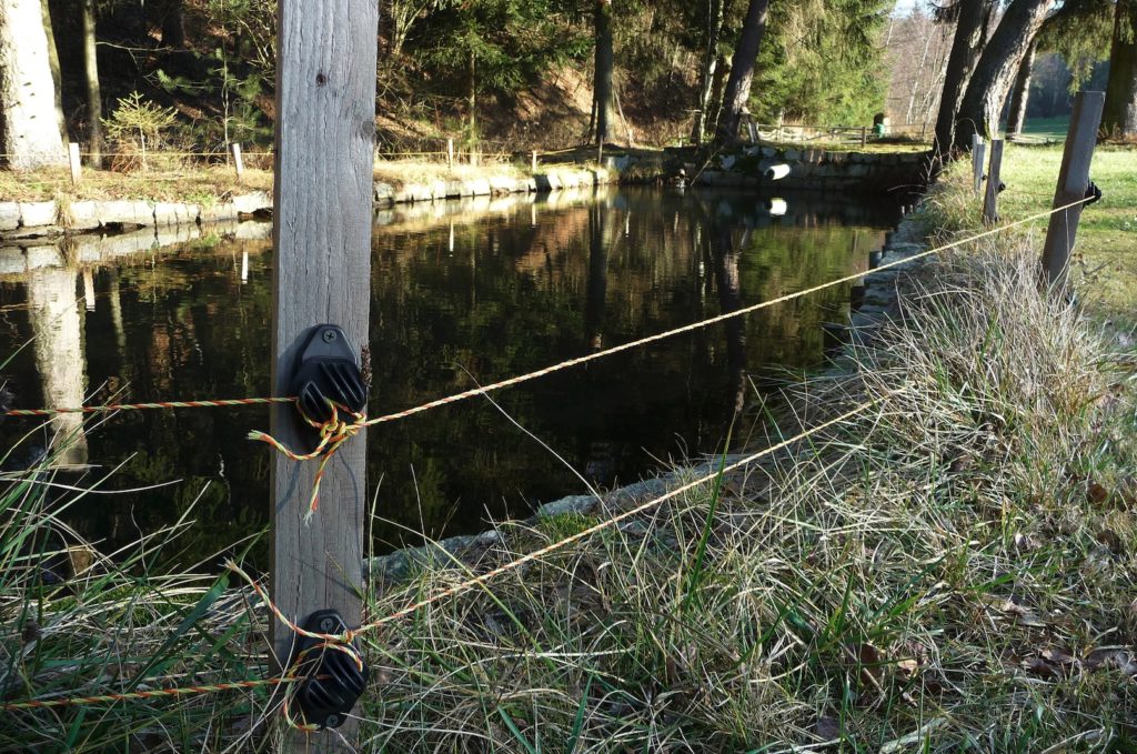 Mit solchen Otterzäunen und elektrischer Ladung sollen die Fischotter davon abgehalten werden, Fische aus Teichwirtschaften zu fressen. Foto: E. Hartwich