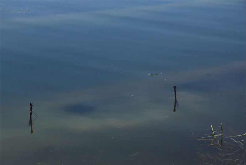 Zwei Pfosten, die aus dem Wasser herausragen.