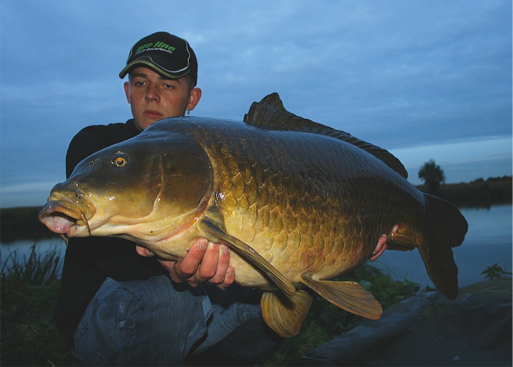Angler hält Karpfen in die Kamera in der Dämmerung.