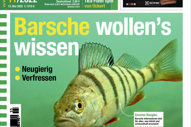 Die neue AngelWoche 11/2022 – ab sofort im Handel erhältlich!