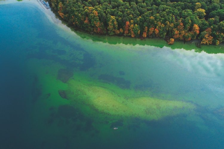 Im Norden Brandenburgs liegt ein ganz besonderes Gewässer mit seinem ganz eigenen Charme: Der Stechlinsee.