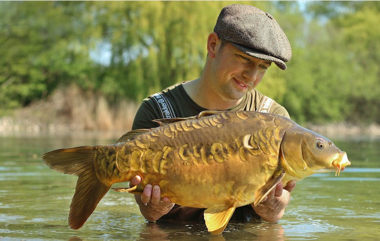 2019: Ein schöner Karpfen, manche würden Beauty sagen, mit etwa 5 Kilogramm ... Foto: C. Mühl