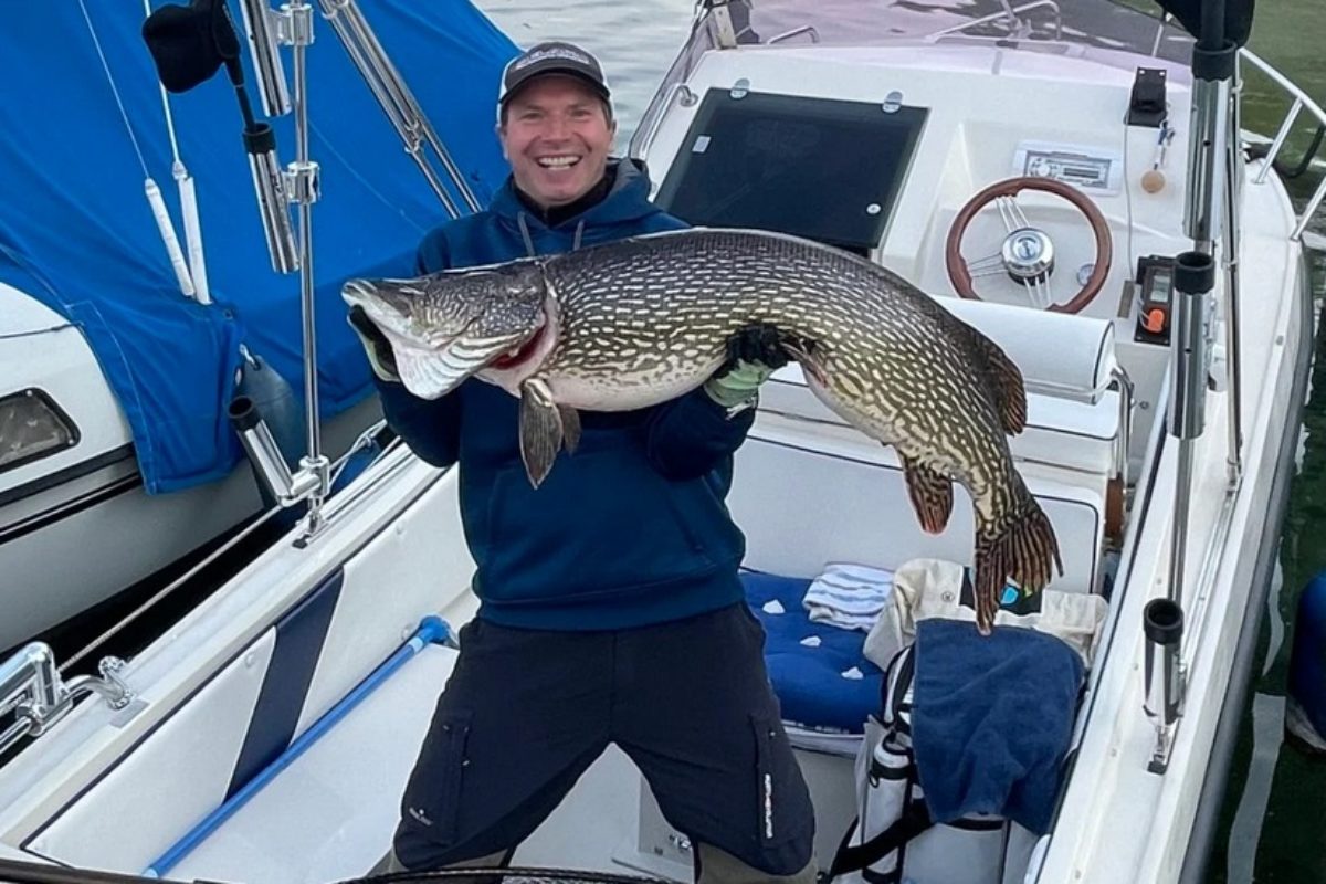 Der Starnberger See in Bayern ist ein bekanntes Gewässer für große Hechte, doch dieser 1,30 Meter lange Fisch von Frank Stachauer ist selbst hier eine Ausnahme. Foto: F. Stachauer