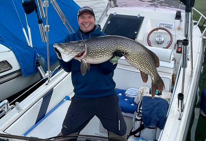 Der Starnberger See in Bayern ist ein bekanntes Gewässer für große Hechte, doch dieser 1,30 Meter lange Fisch von Frank Stachauer ist selbst hier eine Ausnahme. Foto: F. Stachauer