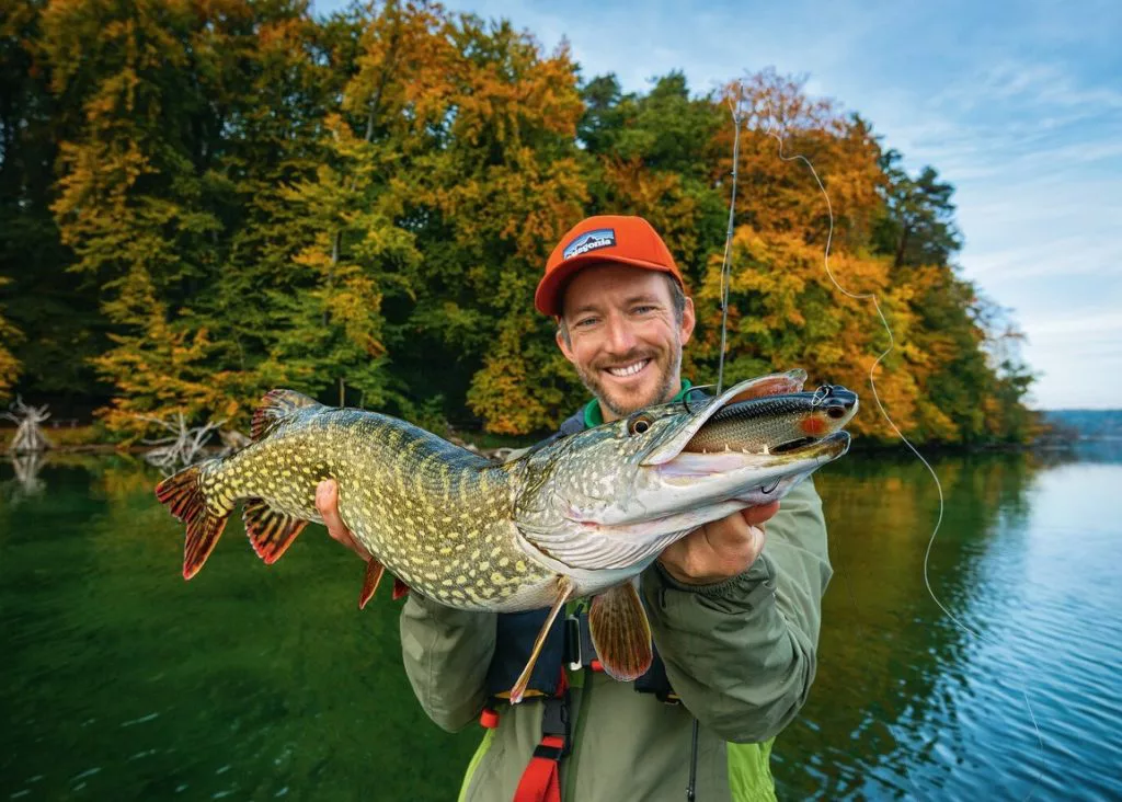 Einer der Bosse des Stechlin hat einen Gummifisch im Naturdekor direkt an der steilen Kante genommen.