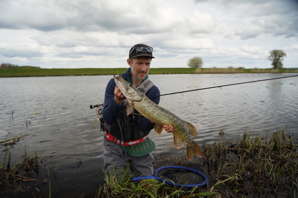 Johannes hat am Wochenende beim Fliegenfischen seinen ersten Hecht der Saison gefangen. Foto: C. Grube