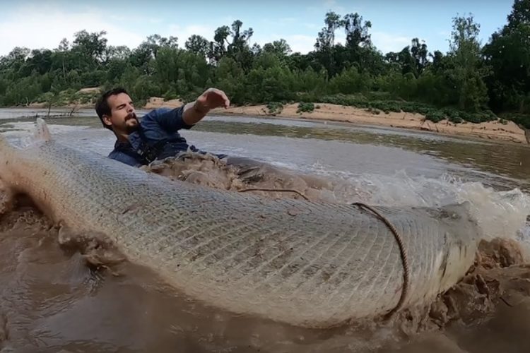 Der Texaner Payton Moore fing einen 2,40 Meter langen Alligatorhecht. Das beeindruckende Erlebnis filmte er mit der Kamera. Foto: P. Moore (Screenshot)
