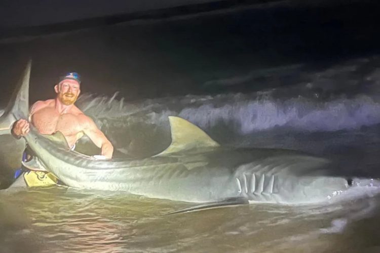 Christian Haltermann aus Texas fing einen Tigerhai von fast 4 Metern. Foto: H. Haltermann (Screenshot)