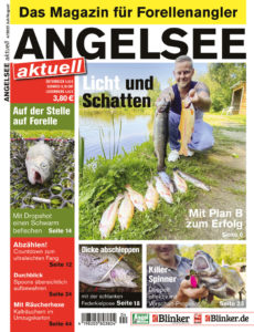 Alle Angelrute reparieren im Blick