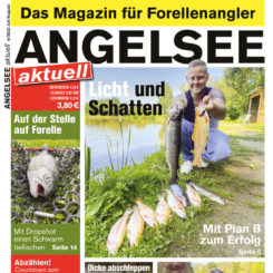 Was es beim Kaufen die Fisch im dutch oven zu untersuchen gilt