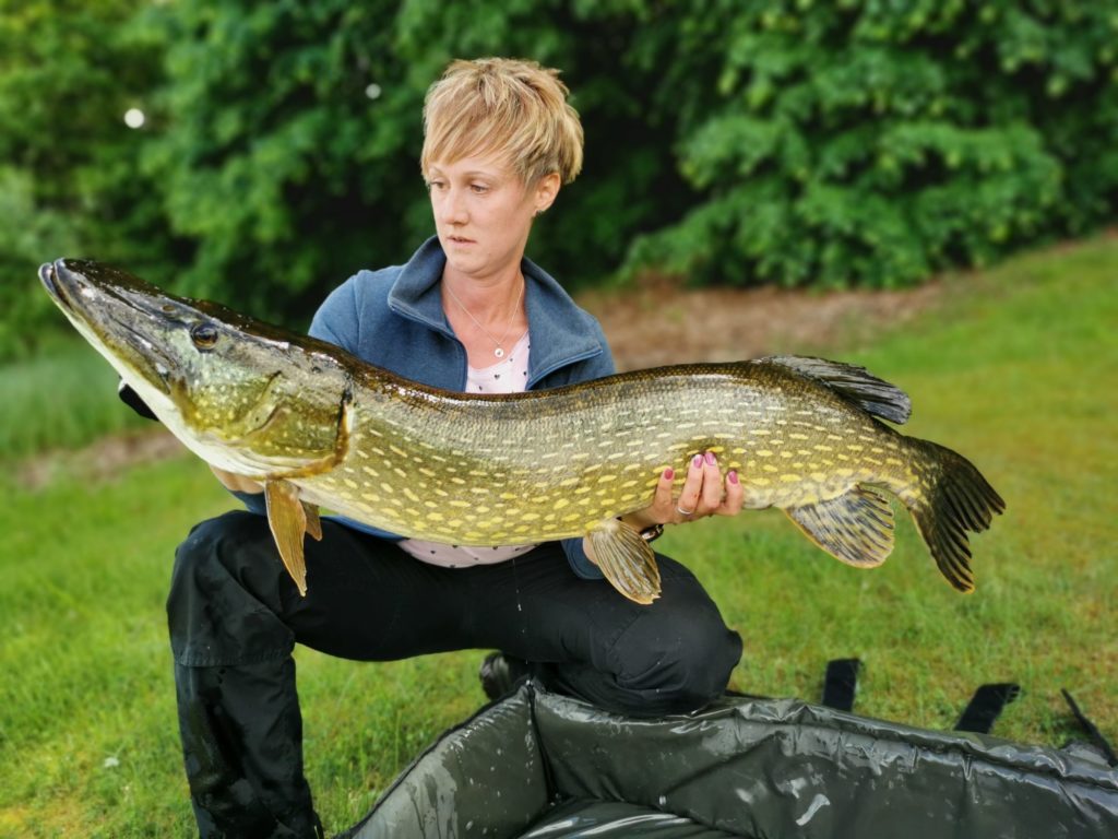 Annika Mussenbrock fischte mit einem Köderfisch und konnte diesen Hecht 118 fangen!  Foto: Blinker / A. Mussenbrock