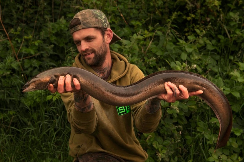 Fast 3 Kilo Britischer Angler fängt Aal und erfüllt Kindheitstraum