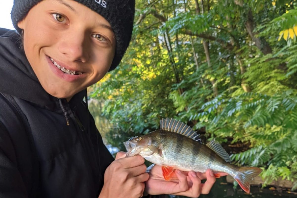 Unser Praktikant Justus Schacht fängt seine Barsche im Sommer besonders gern im Schatten. Foto: privat