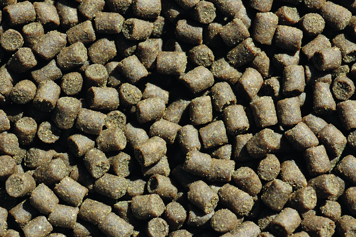 Die Preise für Pellets werden steigen, sagen englische Angelgerätehändler. Die Gründe dafür sind vielfältig. Foto: Archiv