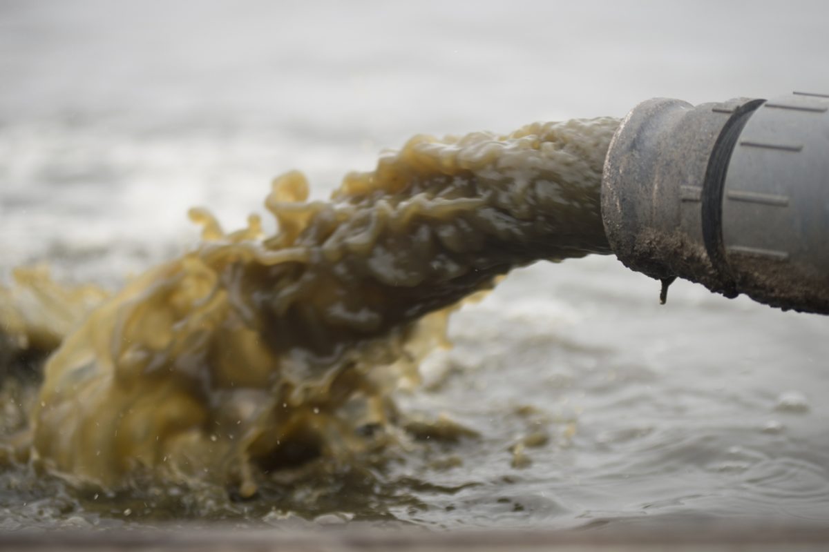 Die englische Umweltbehörde sollte die Gewässer schützen – stattdessen legte sie die Pension ihrer Angestellten bei Wasserfirmen an. Foto: Rawpixel