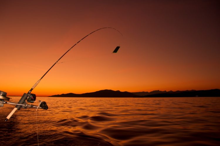 Könnte das Angeln aussterben? Ja, befürchtet ein EFTTA-Mitglied. Foto: James Wheeler / Unsplash