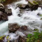 Naturbelassene Flussläufe – in Deutschland ohnehin ein seltener Anblick. Durch das Osterpaket droht nun der Ausbau von kleiner Wasserkraft, was für die Artenvielfalt vielerorts das Ende bedeuten könnte. (Symbolbild) Foto: Pixabay / Glavo