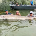 Der neue Rekordstör in Idaho stammt aus einem Stausee. Er wurde wieder zurückgesetzt. Foto: Idaho Department of Fish and Game