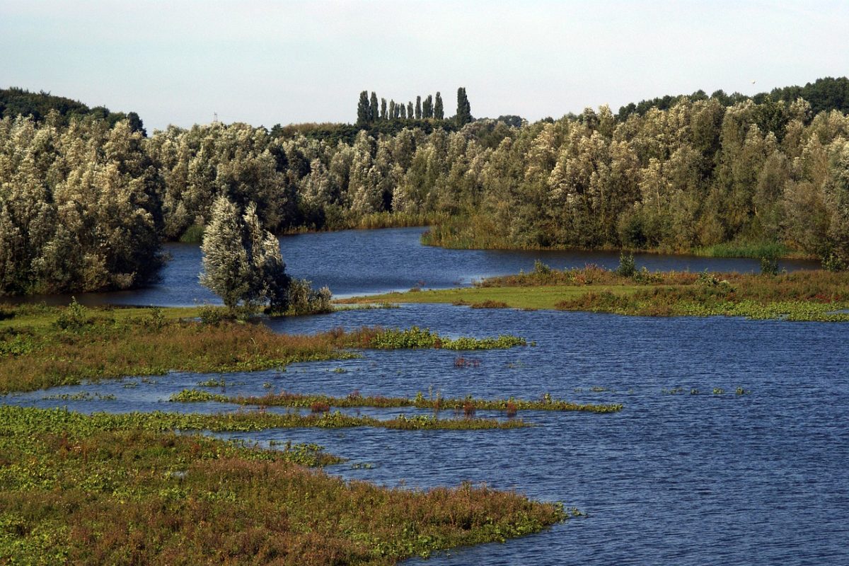 Die Ijssel führt normalerweise große Wassermassen. In warmen Monaten sind Teile des Flusses jedoch akut durch Trockenheit bedroht. Foto: Pixabay
