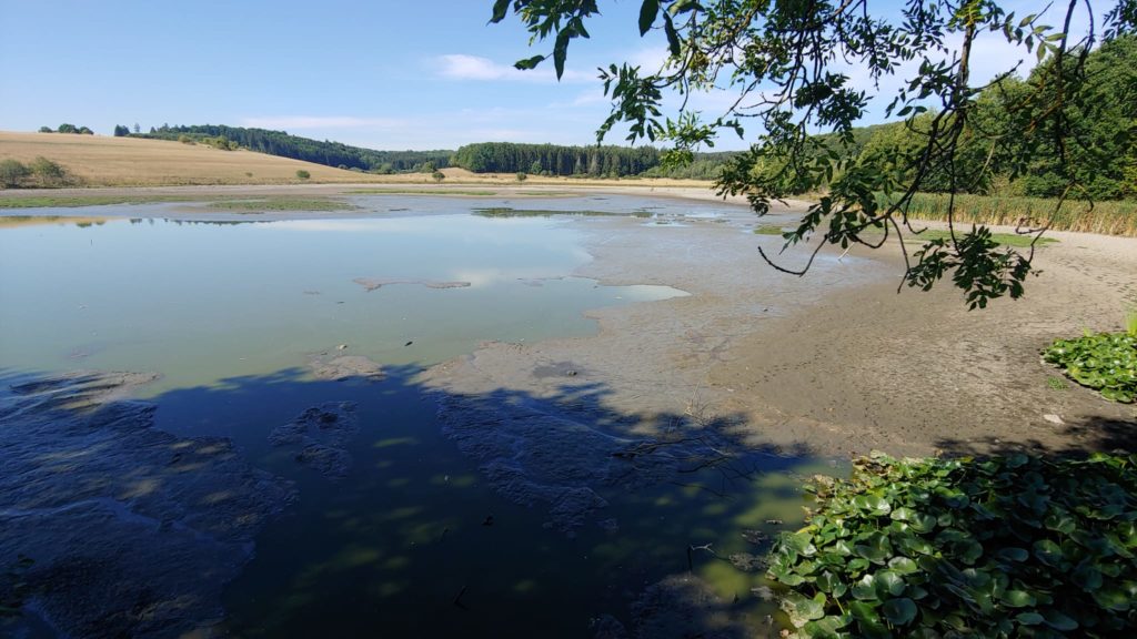 Der Sangweiher in der Vulkaneifel ist durch die hohen Temperaturen fast ausgetrocknet. Foto: Lothar Lenz