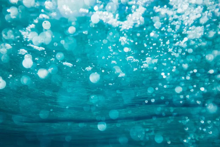 Die Tiefsee ist auf Sauerstoff von der Oberfläche angewiesen. Durch die Kontinentaldrift wurde dieser Fluss unterbrochen – Ähnliches könnte der Klimawandel bewirken. Foto: Unsplash / S. Basioli