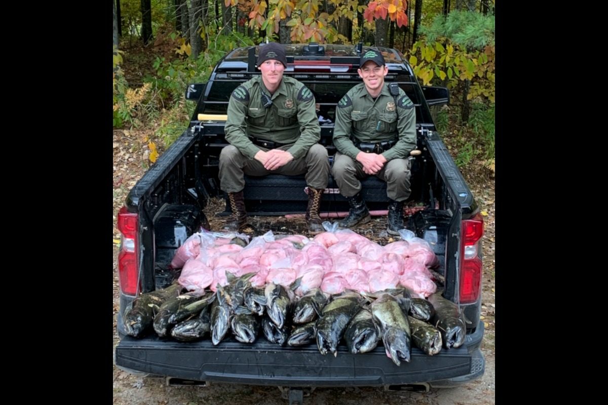 Zwei Beamte der Umweltbehörde in Michigan ertappten Wilderer beim illegalen Fischen auf Lachs. Sie stellten mehr als 200 Kilo Fisch sicher. Foto: Michigan DNR