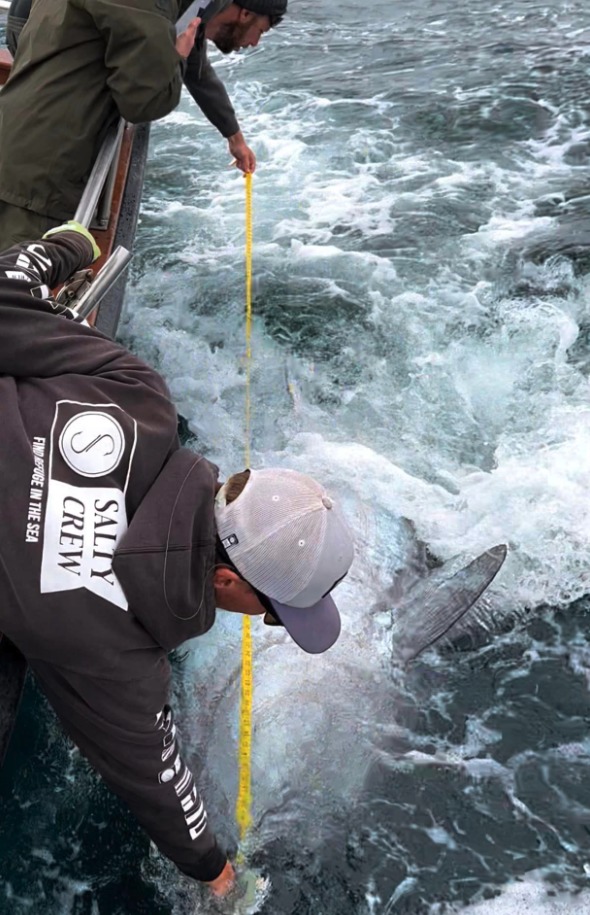 Gaff und Maßband versagten bei den Ausmaßen des Thunfischs. „Aber was sind schon Zahlen“, sagte Skipper Faisey. Foto: Lo Kie Adventures
