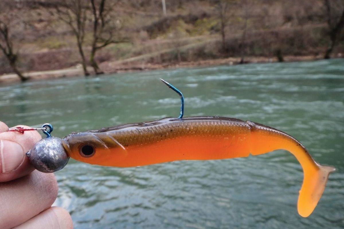 Dadurch, dass der Haken aufgebogen ist, hat der Gummifisch einen Hänger überlebt. Aufgebogene Angelhaken kann man wieder gerade biegen, wenn sie noch scharf sind. Foto: F. Schlichting