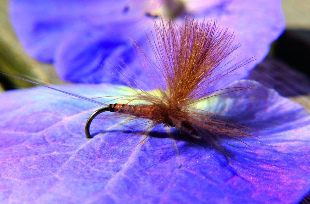 CDC-Fliegen sind als Allrounder eine gute Wahl für dieses Gewässer. Foto: M. Werner