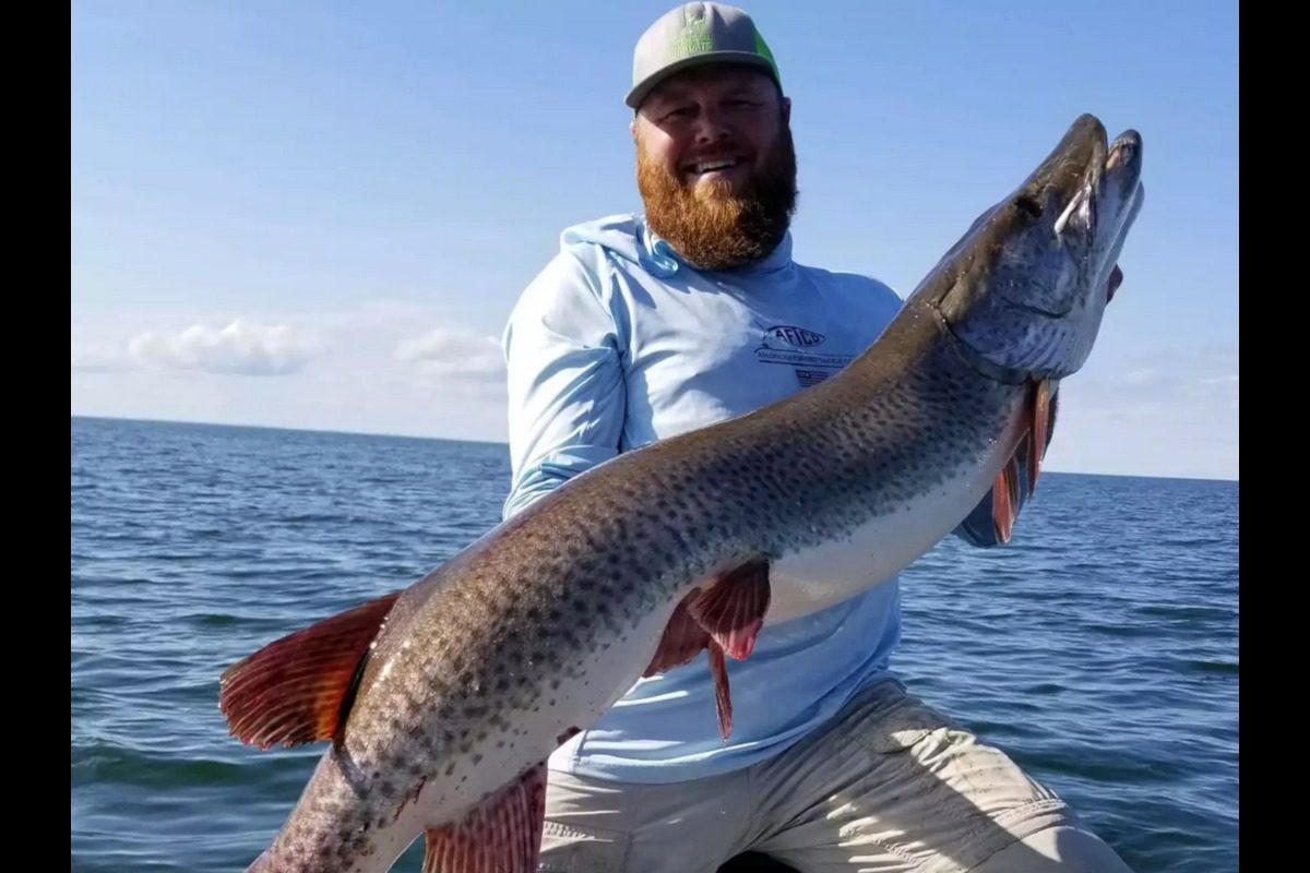 Erik Bakke fing diesen Musky im Mille Lacs Lake in Minnesota. Er list überzeugter Catch and Release-Angler. Foto: E. Bakke (via Facebook)