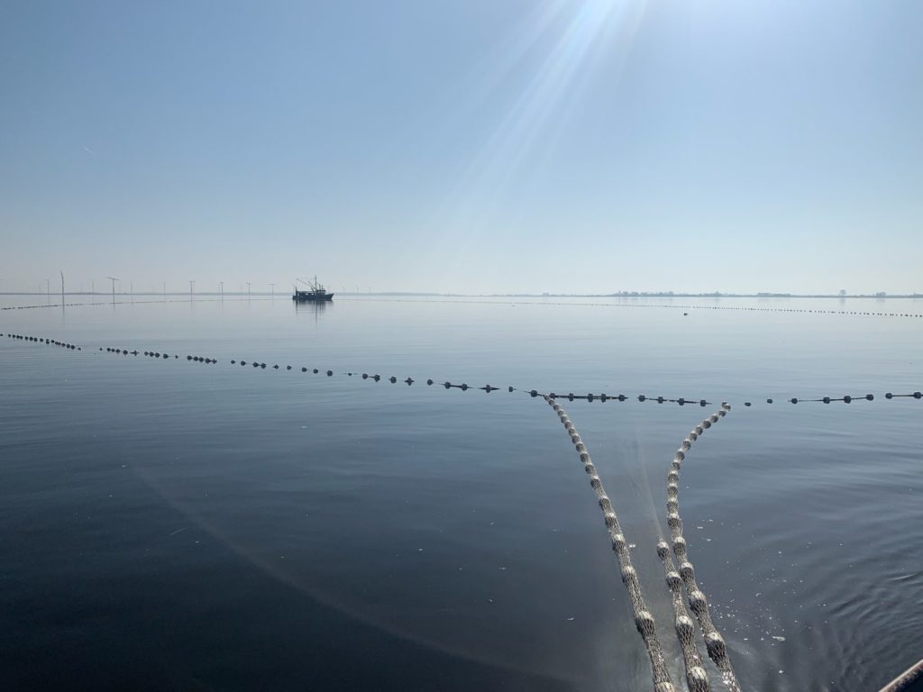 In de zuidelijke randzeeën van Nederland zal de visserijdruk naar verwachting fors afnemen.  Foto: Sportvisserij Nederland