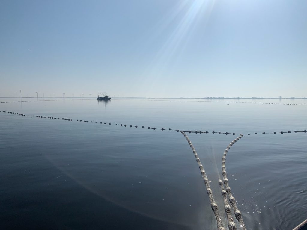 In den südlichen Randmeeren der Niederlande soll der Fischereidruck deutlich abnehmen. Foto: Sportvisserij Nederland