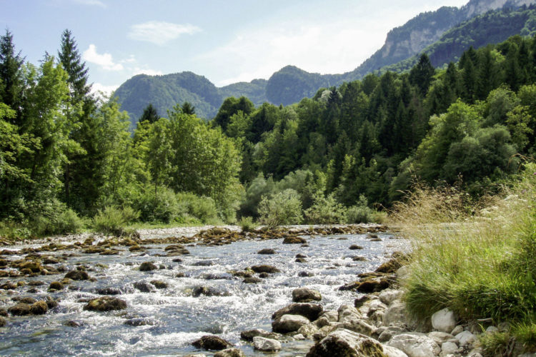 Die Sava Bohinjka ist ein Alpenfluss in Slowenien mit variierender Struktur. Fliegenfischer sollten hier ihr Glück versuchen. Foto: D. Henkes