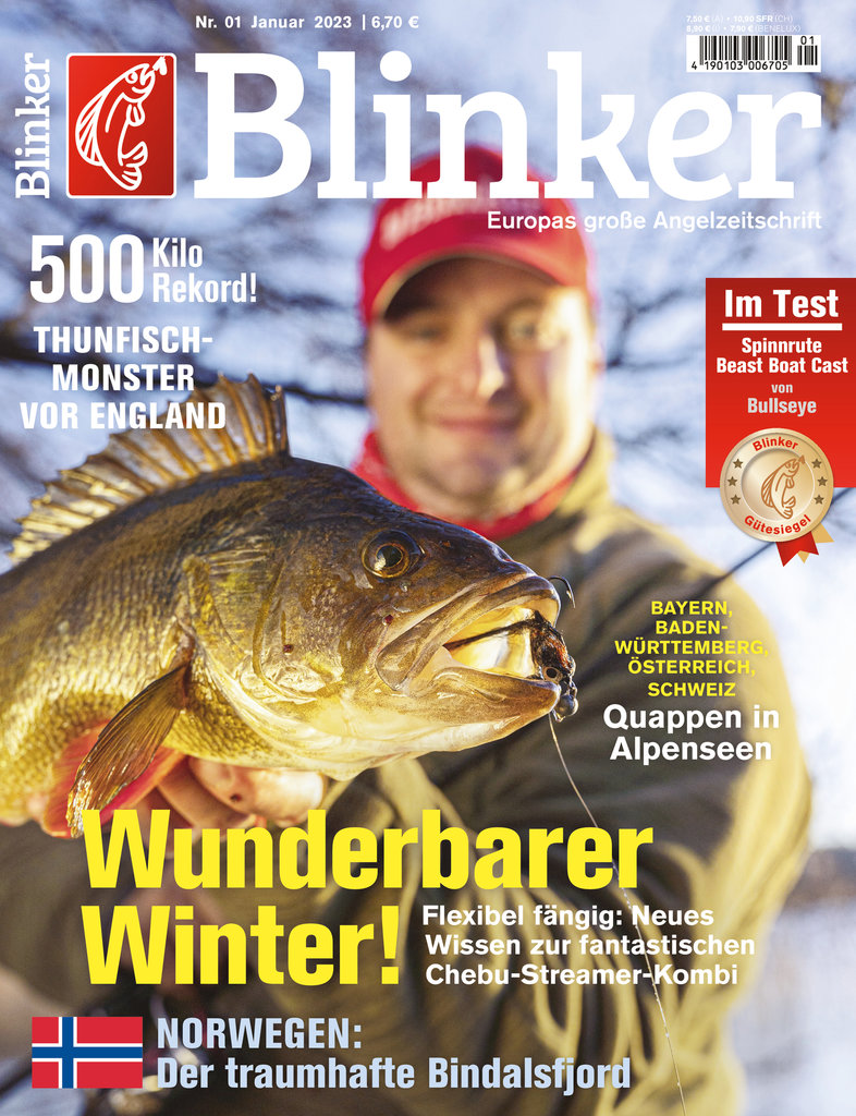 012023blinker-s.jpg