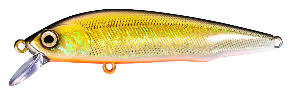 Cardiff Flügel Flat: Gold Shine. Foto: Shimano