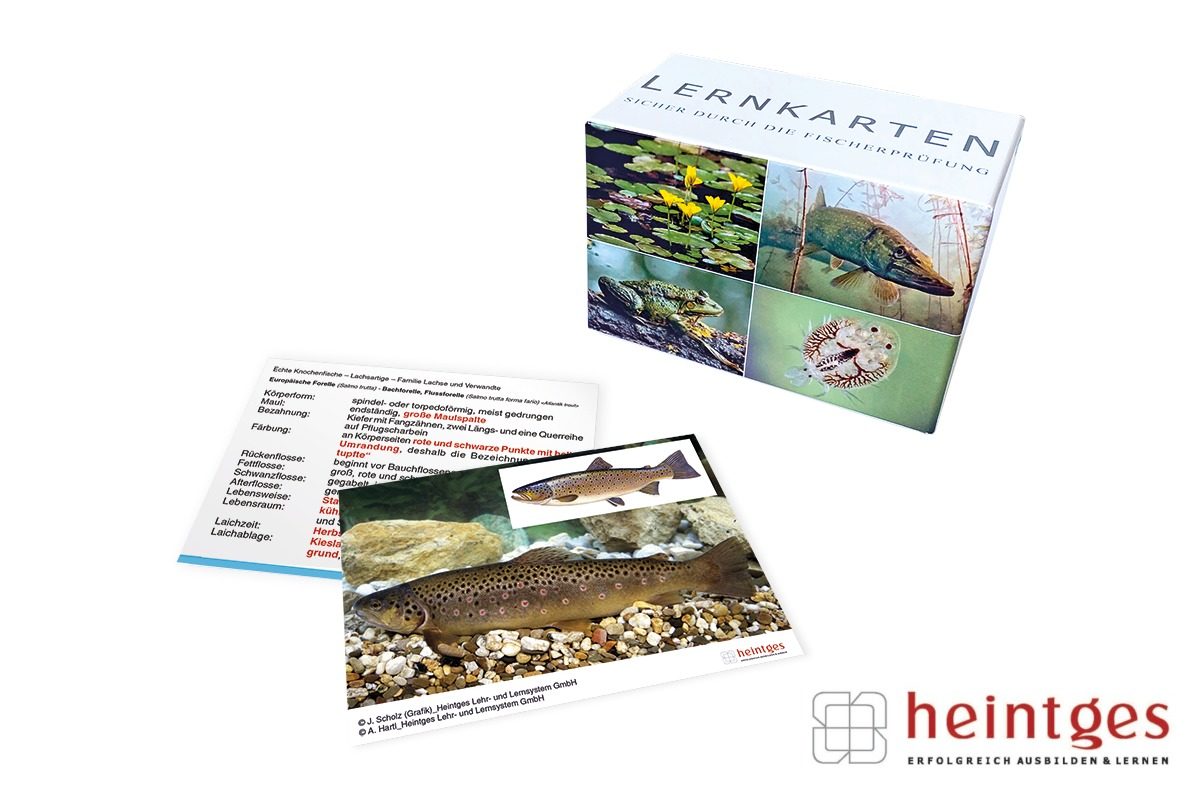 Heute im BLINKER-Adventskalender: ein Lernkarten-Set für die Fischerprüfung von Heintges! Foto: Heintges