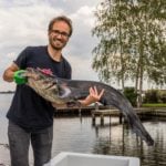Emiel Derks von Sportvisserij Nederland leitete die Studie über Welse in den Niederlanden. Foto: Sportvisserij Nederland